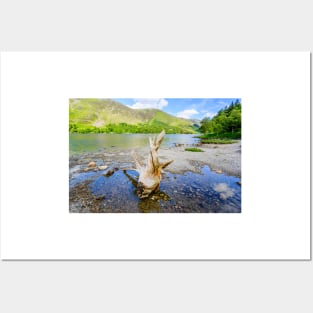 Buttermere Panorama With Driftwood Posters and Art